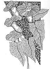 "Simply Botanical" by Sandee Johnson